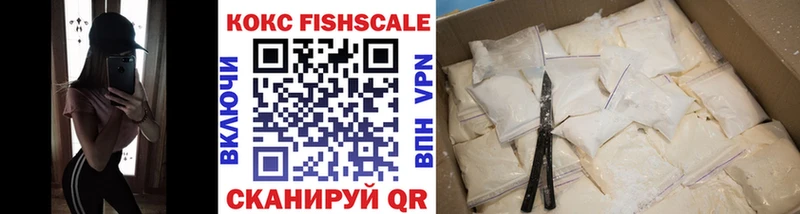 Купить закладки  Белоозёрский  Cocaine Fish Scale 