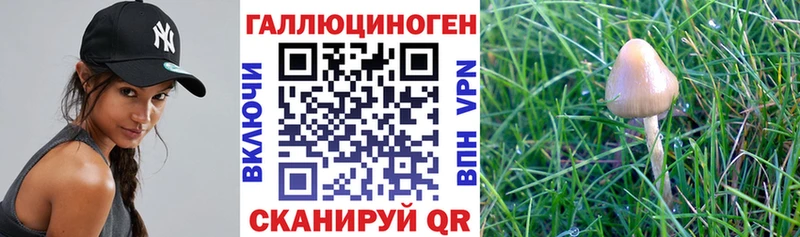Галлюциногенные грибы ЛСД  Купить где  Белоозёрский 